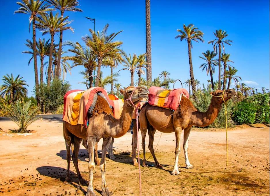 Appartamento Hivernage Elysium - Marrakech Centre *